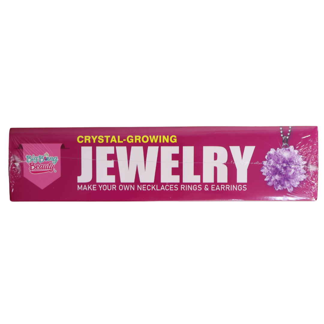 Crystal Growing Jewelry Kit