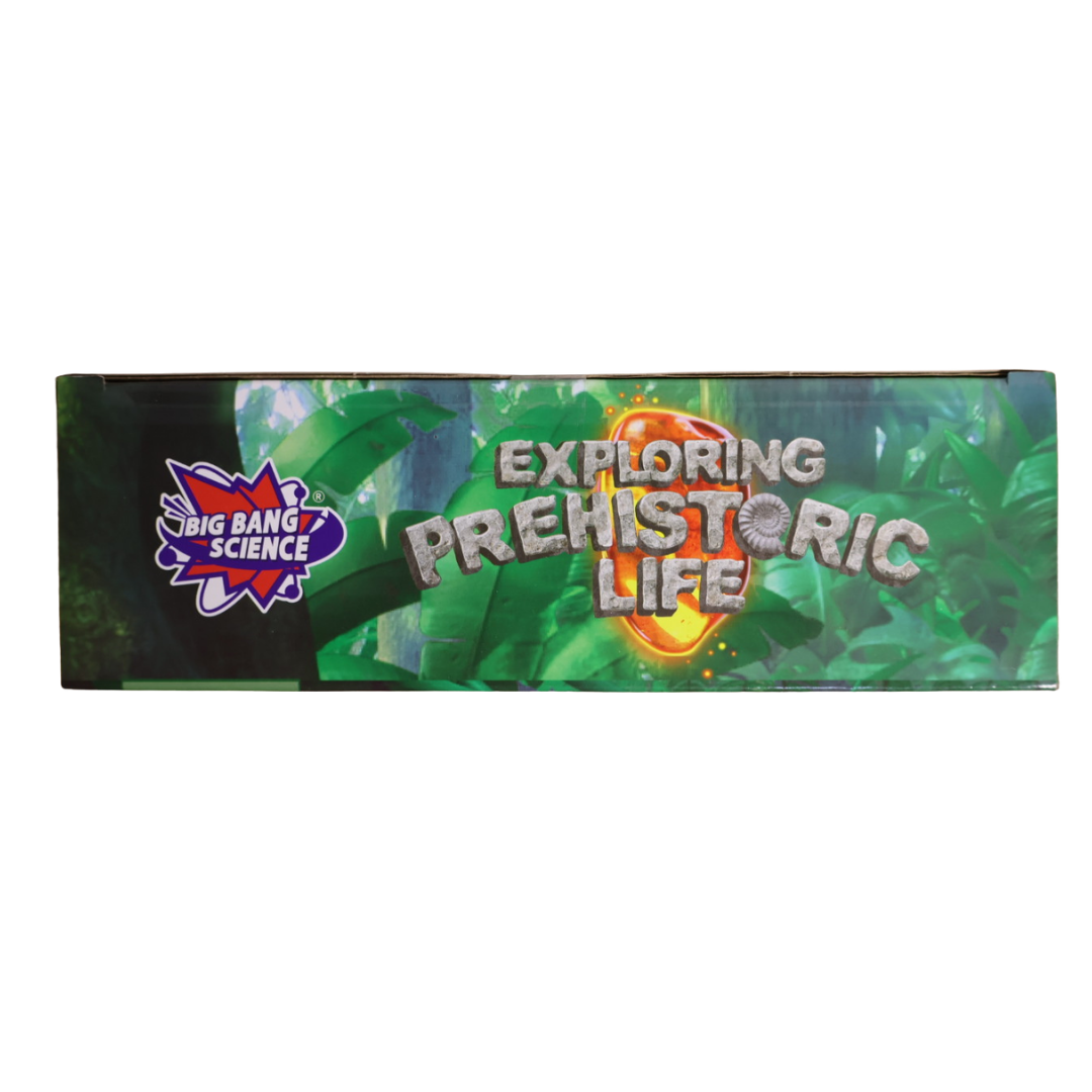 Exploring Prehistoric Life