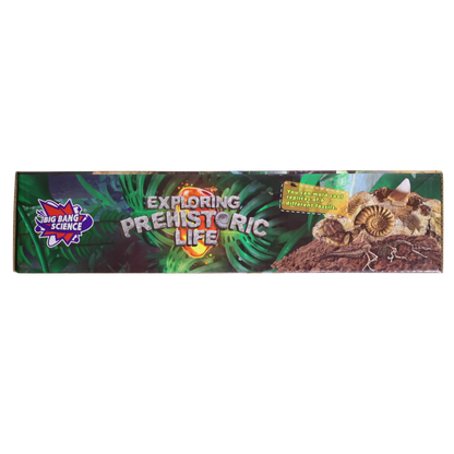 Exploring Prehistoric Life