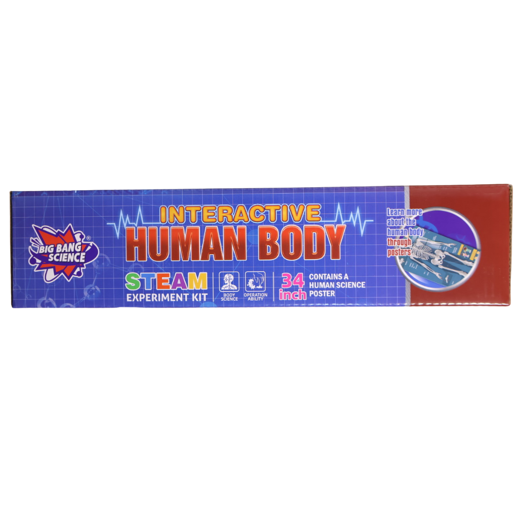 Interactive Human Body