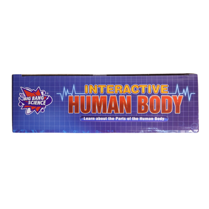 Interactive Human Body