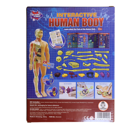 Interactive Human Body